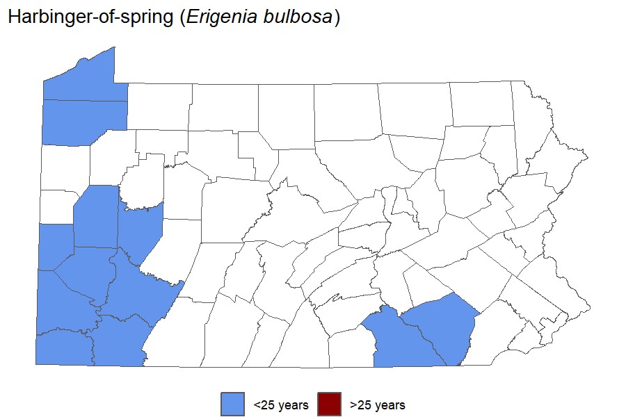 Harbinger-of-spring"